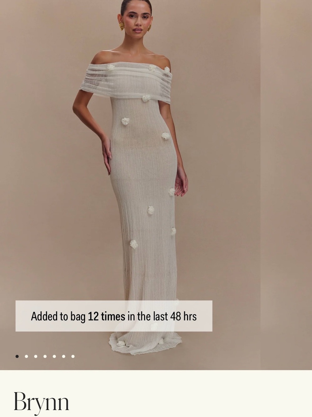 Meshki Brynn White Mesh Maxi Dress with Floral Appliqués